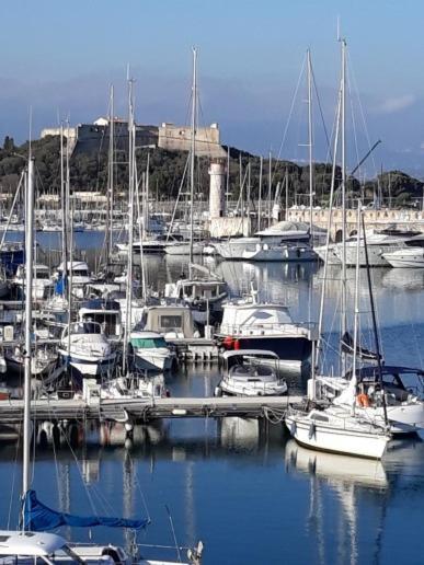 Les Violettes 3 Pieces Centre Ville Antibes Exterior photo